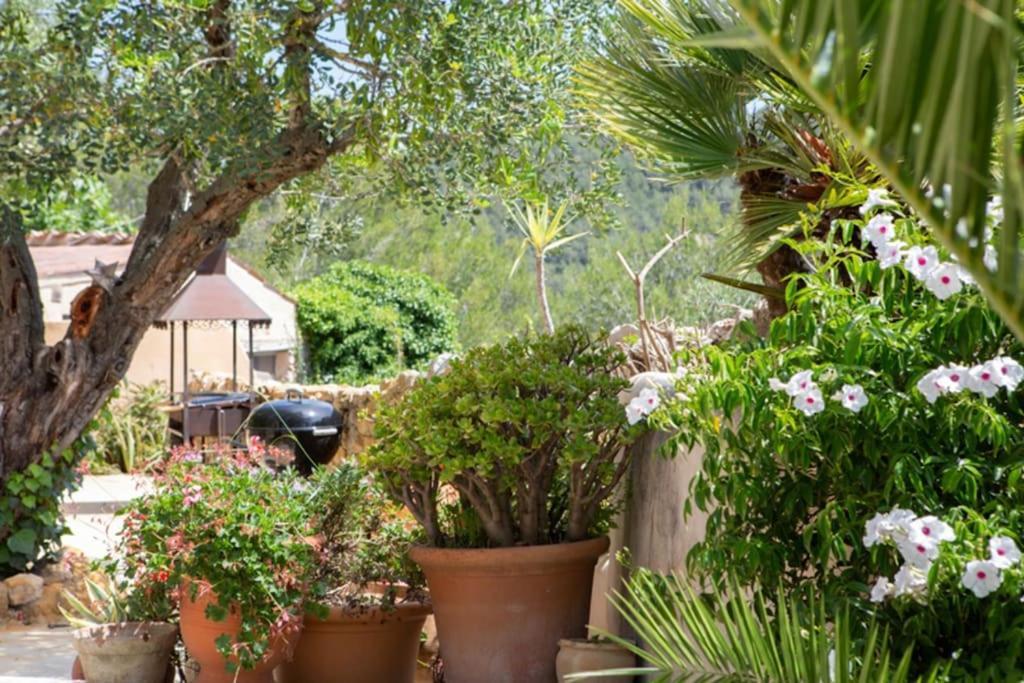 Sitges Hill Retreats-Masia Nur 22 Bedrooms Divided Over 9 Houses For Max 44 Guests كانييلس المظهر الخارجي الصورة